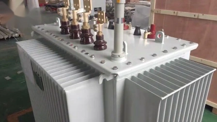 Transformateur de distribution de transformateur de puissance immergé dans l'huile 11kv 33kv